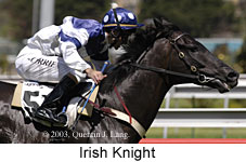 Irish Knight (13810 bytes)