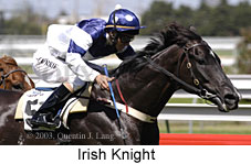 Irish Knight (14085 bytes)