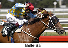 Belle Ball (16588 bytes)