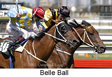 Belle Ball (17091 bytes)