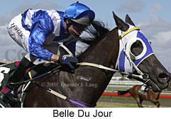 Belle Du Jour (16583 bytes)