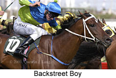 Backstreet Boy (15078 bytes)