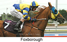 Foxborough (15175 bytes)