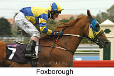 Foxborough (13986 bytes)