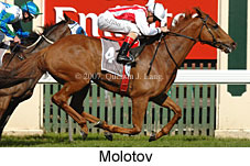 Molotov (14772 bytes)