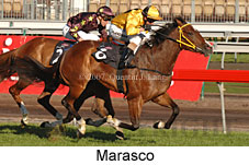 Marasco (14772 bytes)