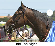 Into The Night (14915 bytes)