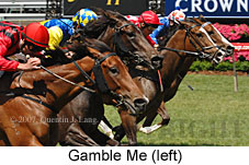 Gamble Me (18507 bytes)
