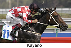 Kayano (14181 bytes)