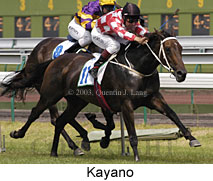 Kayano (17173 bytes)