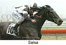 Salsa (17007 bytes)