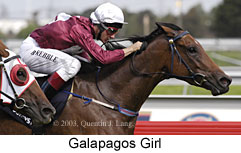 Galapagos Girl (14291 bytes)