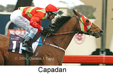 Capadan (15541 bytes)