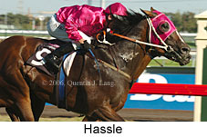 Hassle (14872 bytes)