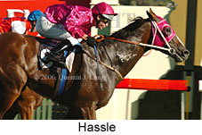 Hassle (14872 bytes)