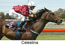 Celestina (14362 bytes)