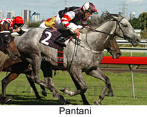 Pantani (16349 bytes)
