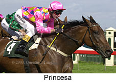 Princesa (15424 bytes)