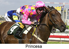 Princesa (16443 bytes)