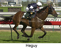 Heguy (15330 bytes)