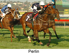 Perlin (14872 bytes)