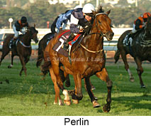 Perlin (14872 bytes)