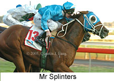 Mr Splinters (14872 bytes)