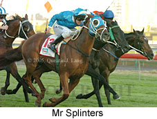 Mr Splinters (14872 bytes)