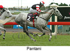 Pantani (14872 bytes)