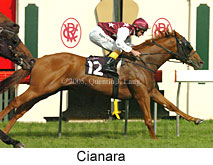 Cianara (14872 bytes)