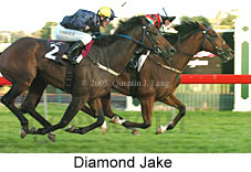 Diamond Jake (14872 bytes)