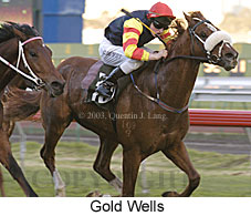 Gold Wells (18355 bytes)