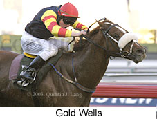 Gold Wells (13513 bytes)