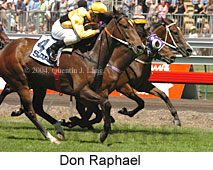 Don Raphael (21625 bytes)