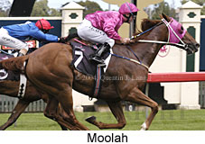 Moolah (16938 bytes)