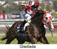 Gladiada (15144 bytes)