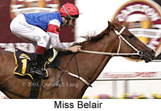 Miss Belair (15314 bytes)