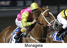 Monagela (14964 bytes)
