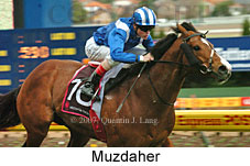 Muzdaher (16727 bytes)