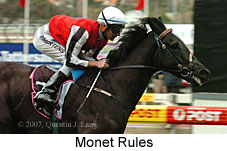 Monet Rules (16727 bytes)
