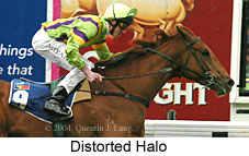 Distorted Halo (15200 bytes)