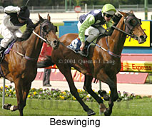 Beswinging (20042 bytes)