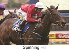 Spinning Hill (13887 bytes)