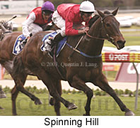 Spinning Hill (15027 bytes)
