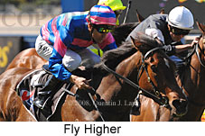 Fly Higher (16727 bytes)