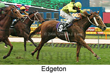 Edgeton (17235 bytes)