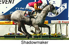Shadowmaker (18294 bytes)