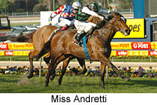 Miss Andretti (16544 bytes)