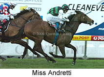 Miss Andretti (16544 bytes)
