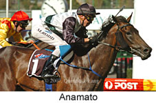 Anamato (16727 bytes)